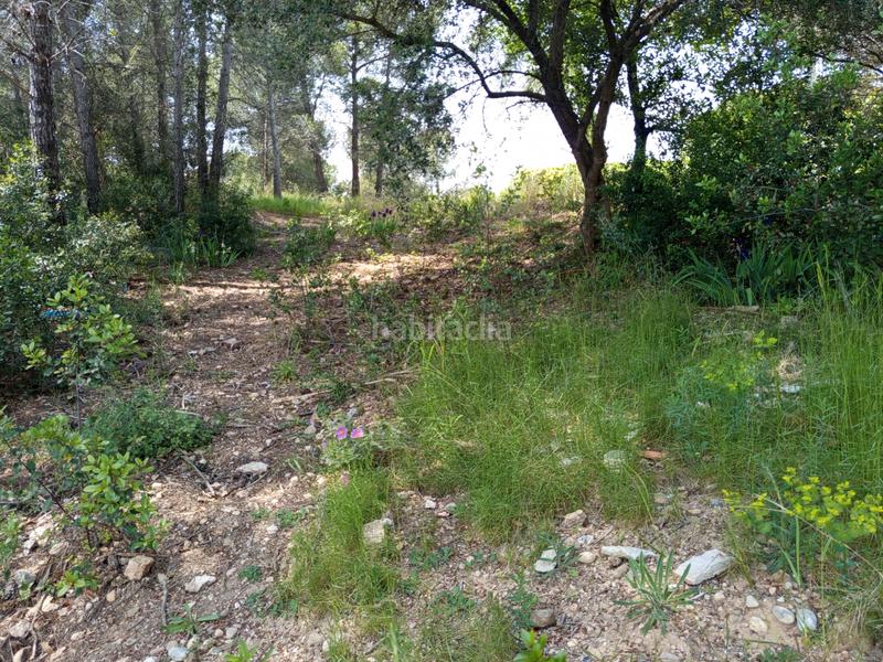 Foto 01038a9f-ee3f-4125-b8e9-5ddf087cf7e2. Wohngrundstück in Castellnou-Can Mir-Can Solà Rubí