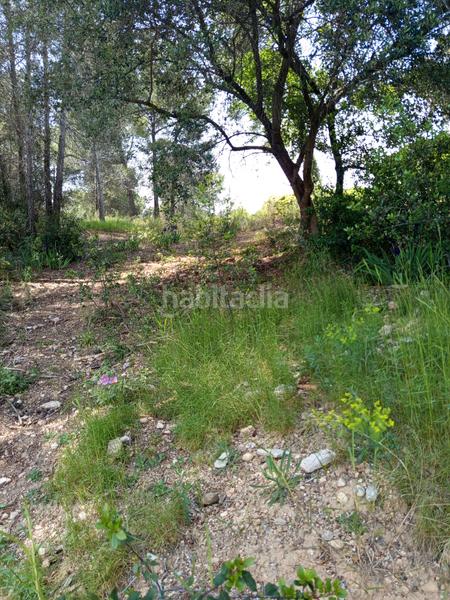 Foto 1889109d-0575-4b20-a040-36e9576a1486. Wohngrundstück in Castellnou-Can Mir-Can Solà Rubí