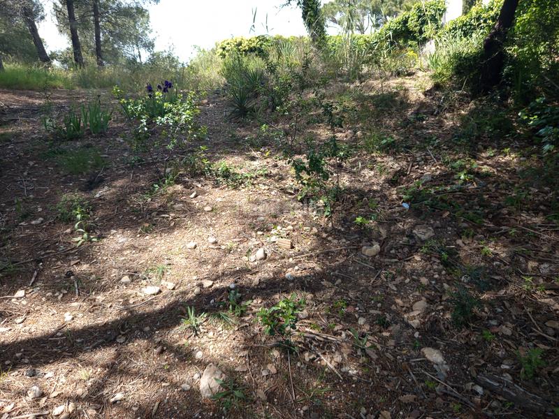 Foto b7dc7b1b-08a0-440d-9f9f-641059ab1748. Wohngrundstück in Castellnou-Can Mir-Can Solà Rubí