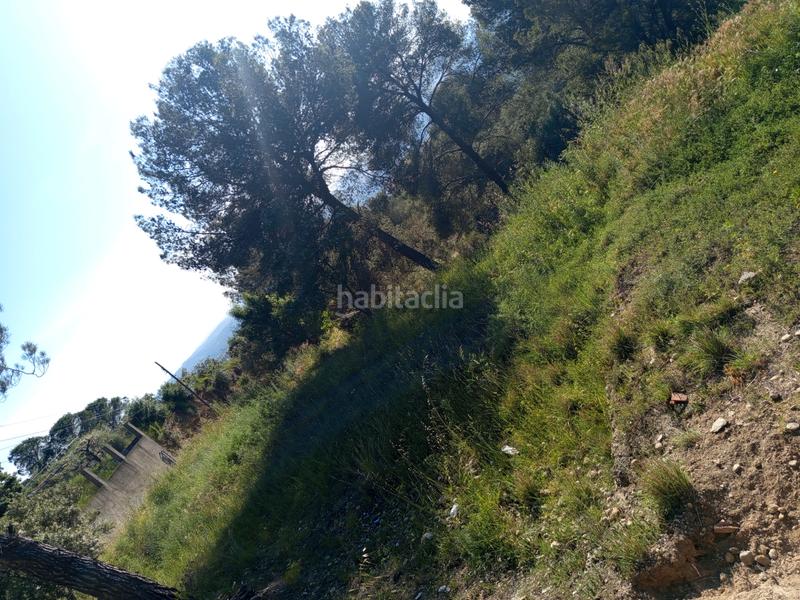 Foto 09598a69-70af-4724-8c52-51904e108556. Fondo rustico in Olesa de Montserrat