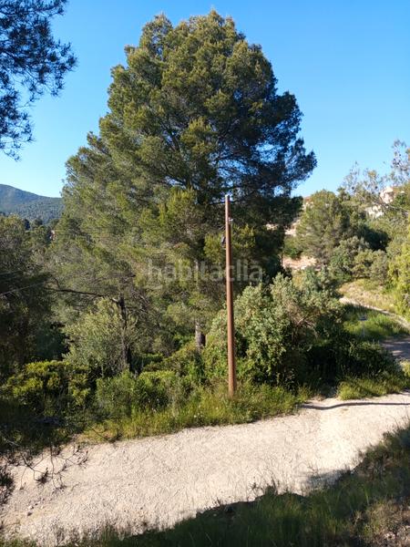 Foto 160a7ea3-2f97-46ec-9a59-e72f35f73c26. Fondo rustico in Olesa de Montserrat