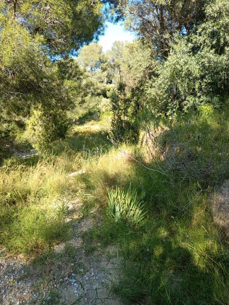 Foto 211292c6-ea6b-4d83-b45d-75eb701fe5b1. Fondo rustico in Olesa de Montserrat