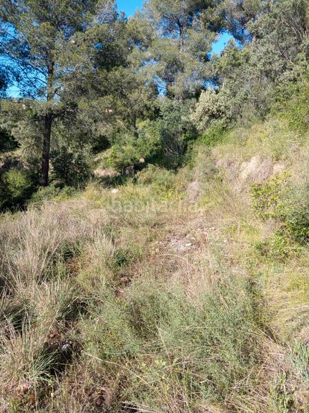 Foto 2ff89266-775e-4f4f-998e-991a969a6abe. Fondo rustico in Olesa de Montserrat