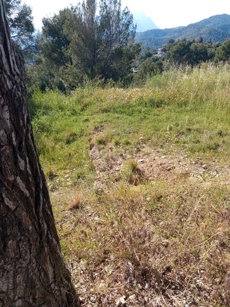 Foto 41240106-878e-45a2-822c-d76da3a1a55a. Fondo rustico in Olesa de Montserrat