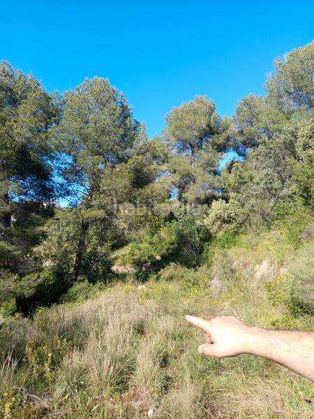 Foto 6be8b9c2-2a3c-4622-923a-ebca35bc8035. Fondo rustico in Olesa de Montserrat