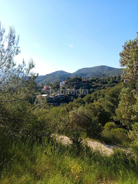 Foto 957a1230-5a8b-45d5-b40d-e09a3309d767. Fondo rustico in Olesa de Montserrat