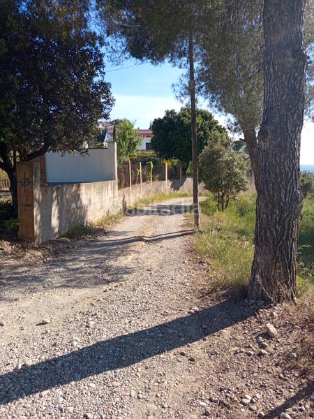 Foto 9a8e2cf6-168a-4af1-8195-8dca245c004e. Fondo rustico in Olesa de Montserrat