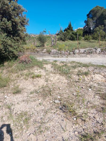 Foto 9f078190-182e-4dc1-a0b5-be7efb4ba89f. Fondo rustico in Olesa de Montserrat