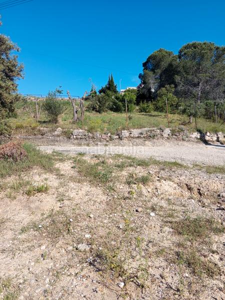 Foto a28f67fb-a9e1-4a07-8f4b-2e8601c552c2. Fondo rustico in Olesa de Montserrat