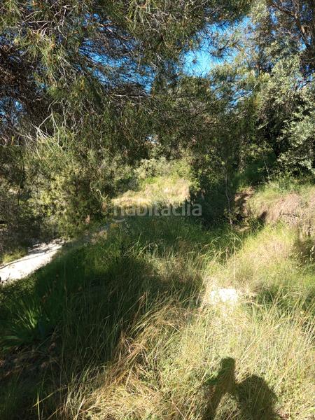 Foto c5ca9ed9-cebb-4548-9366-9a094b1d879a. Fondo rustico in Olesa de Montserrat