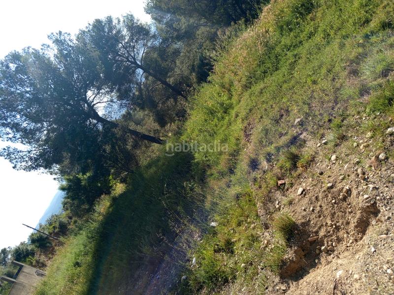 Foto e2cf56fd-4e14-4157-92ff-70a138a0e217. Fondo rustico in Olesa de Montserrat