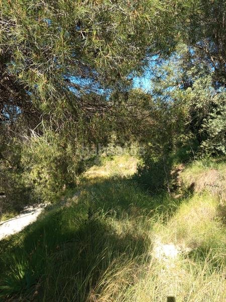 Foto f87d0912-5229-4e7b-9c37-38b3a7b1f762. Fondo rustico in Olesa de Montserrat