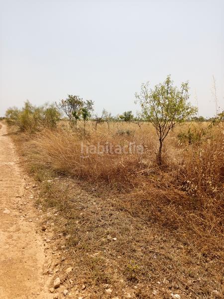 Foto d8164676-3934-464f-b536-935d09947df8. Finca rústica a carrer de castelldans 15 a La Bordeta Lleida