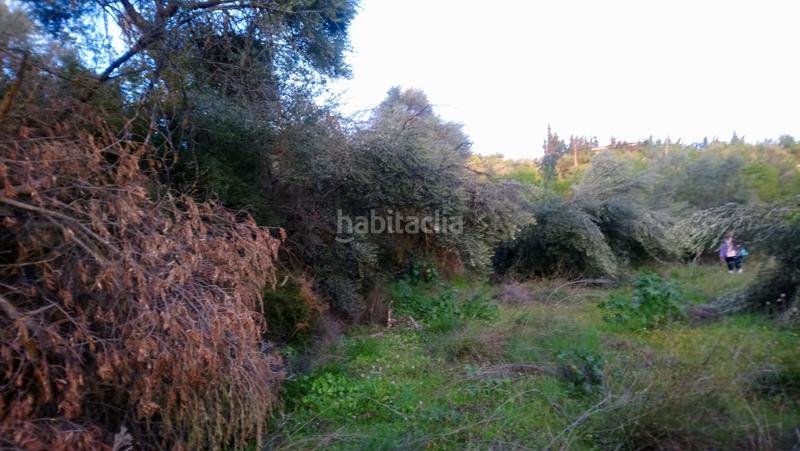 Foto 0078abdf-ce06-4fe6-b625-14891224c9ba. Rural plot in Masroig (El)