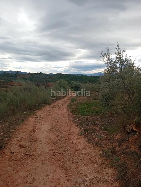 Foto 19210e62-c8e1-4790-92ce-9f8b23a6861e. Rural plot in Masroig (El)