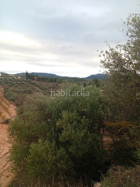 Foto 1e66c0d5-5410-4108-9d4c-536d9a9e2c40. Rural plot in Masroig (El)