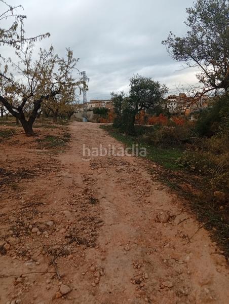 Foto 808ad40e-9b4c-411a-9a88-851ab7c60ff4. Rural plot in Masroig (El)