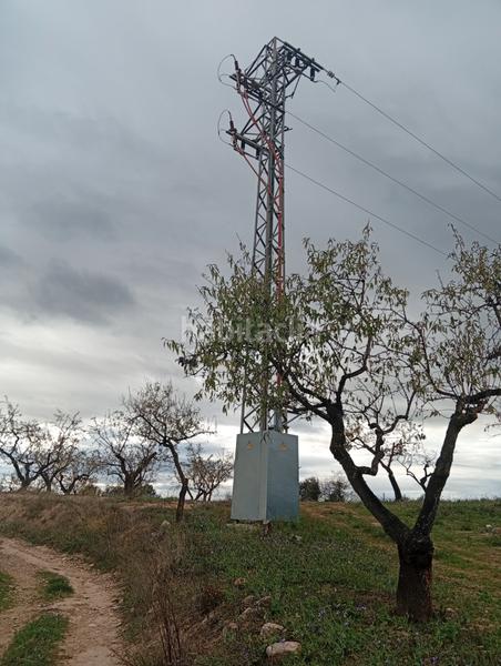 Foto 96cc8358-cb29-4a99-8611-a97e4483a994. Rural plot in Masroig (El)