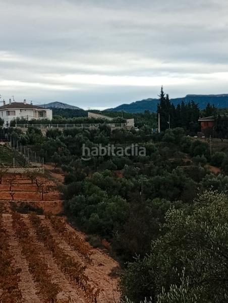 Foto 9d40632f-78a2-4030-8b2b-b12b63e6bf3d. Rural plot in Masroig (El)