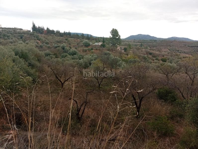 Foto b7a41fa4-0b0e-47d4-9239-6ef0a6bfe146. Rural plot in Masroig (El)