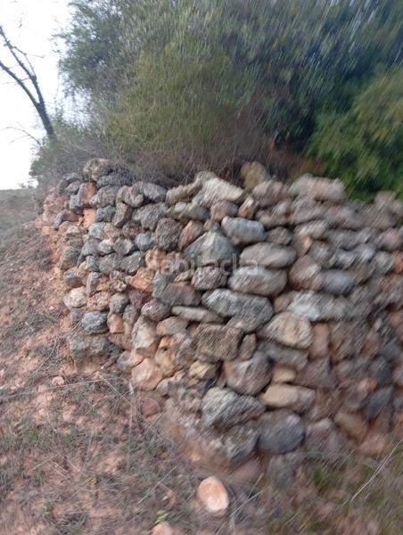 Foto c284c1e1-8abf-45f8-8019-8d6fe157cf78. Rural plot in Masroig (El)