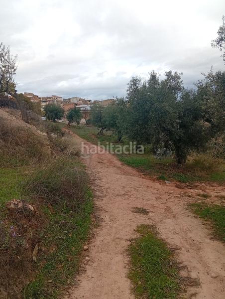 Foto d240aa29-abd4-4baf-8acf-9f42a1557b32. Rural plot in Masroig (El)