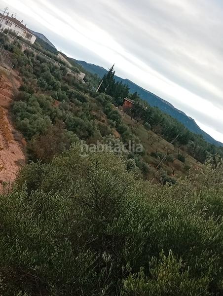 Foto d8600eb8-ee9c-44c6-82fa-50d21d5572e3. Rural plot in Masroig (El)