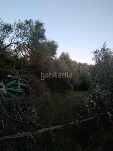 Foto e361b945-3790-45a9-b658-5b7a57139953. Rural plot in Masroig (El)