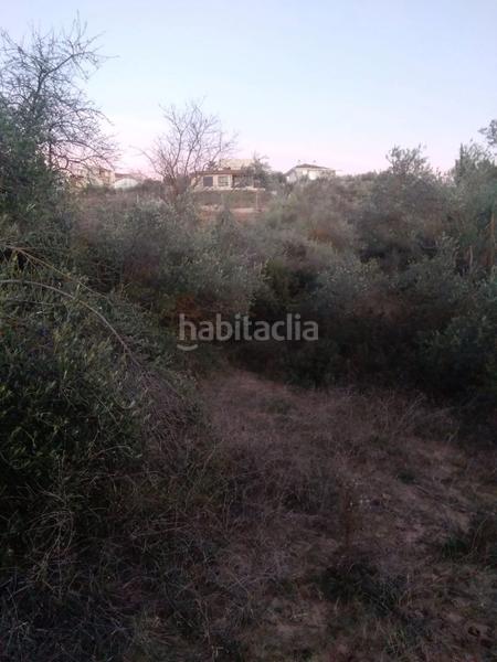 Foto e532b5ee-6b85-4dea-a840-894ed3b5323b. Rural plot in Masroig (El)