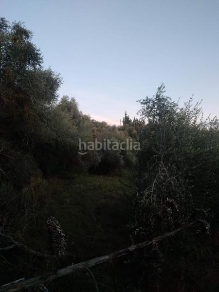 Foto ecd63a2b-8030-4015-a6ba-4e535f447a1c. Rural plot in Masroig (El)