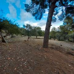 Maison à Carrer de can singla 8. Terreno en venta con casa a terminar