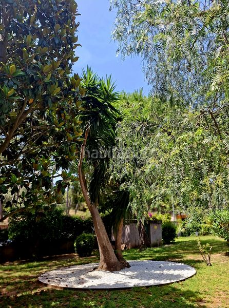 Foto b1a945a5-e5ae-48ad-8594-52c49ce404f2. Planta baixa amb calefacció a Muntanyeta Castelldefels