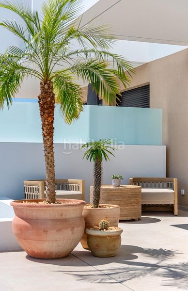 Foto c5ef4c28-d156-4266-bfb5-84ac6bfea814. Casa amb piscina a Dolores