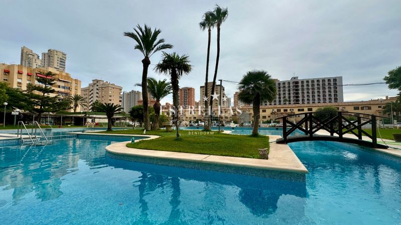 Foto 2d926df1-4c16-4027-8aea-506d43f801d9. Apartamento en Juzgados - Plaza de Toros Benidorm