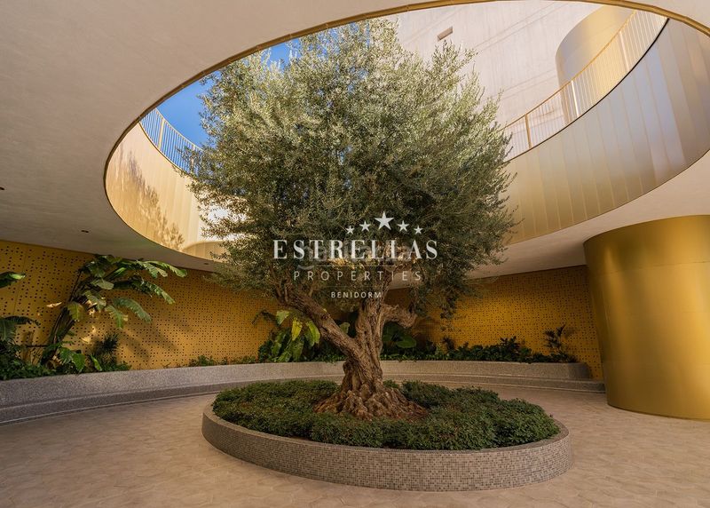 Foto 99e5b076-09df-4ea4-a978-a377a540e73a. Apartamento en Playa Poniente Benidorm