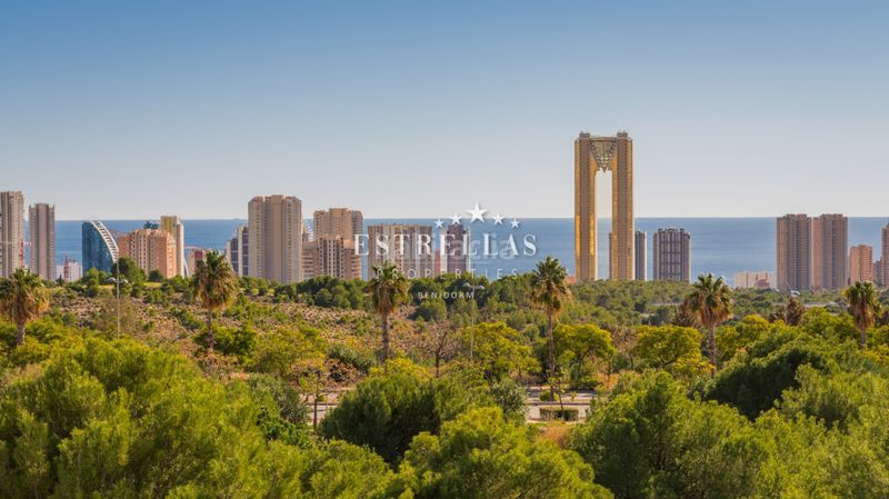 Foto c496f9de-308f-475a-9890-0381b2cfbeda. Apartamento en Playa Poniente Benidorm
