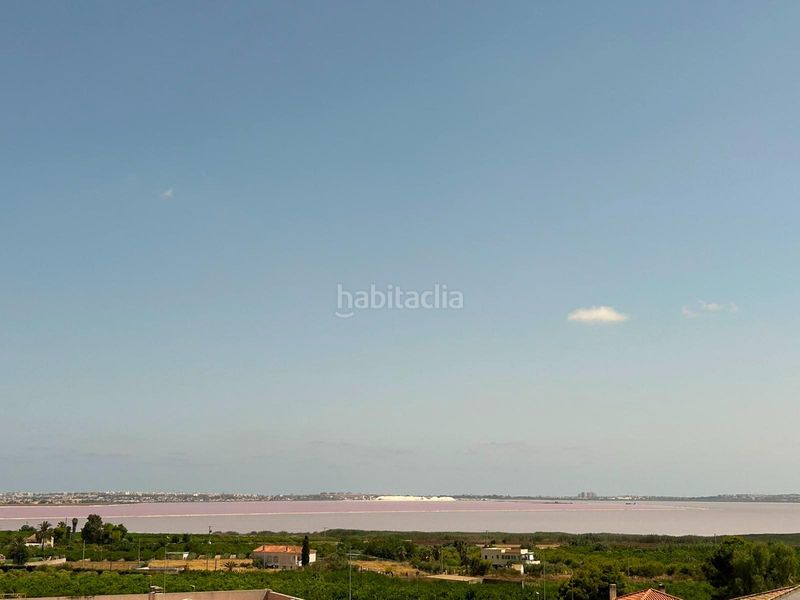 Foto d223a570-8ac5-408b-87b8-ffe6f83fa37a. Apartament amb piscina a Montesinos (Los)
