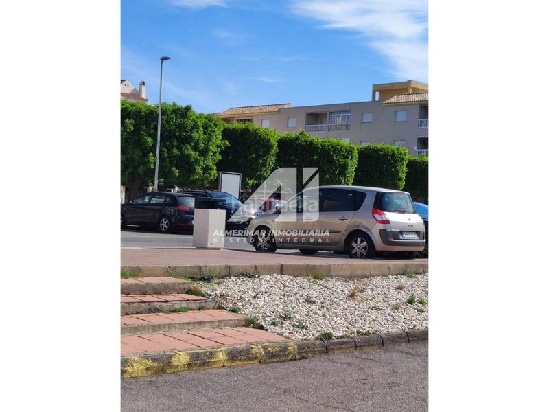 Foto fbef403a-2819-49c6-840b-f1ca978c909b. Pis a Almerimar Ejido (El)