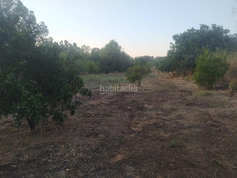 Foto 13e693aa-12fe-4be4-8ea7-db0c61eef633. Propriété dans Villaviciosa de Córdoba