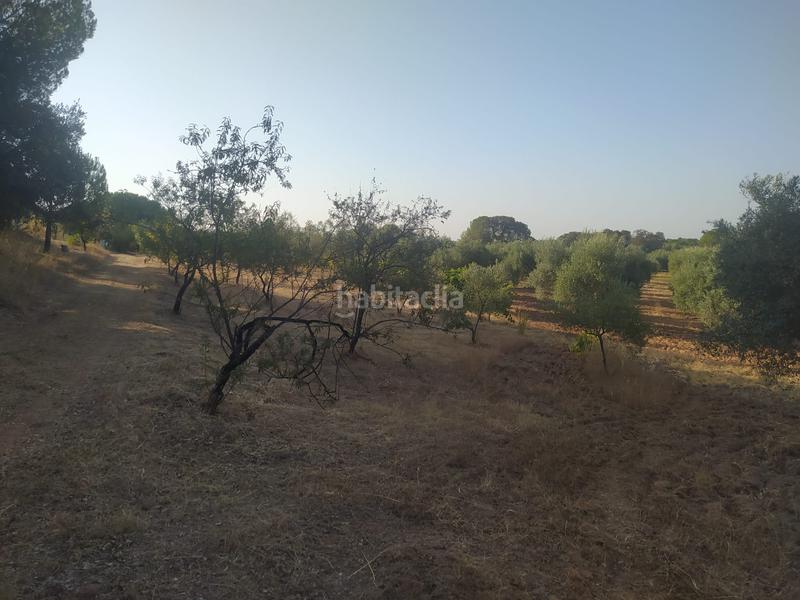 Foto 1d2172f9-69fb-4012-b72e-f890d1c8f3f5. Propriété dans Villaviciosa de Córdoba