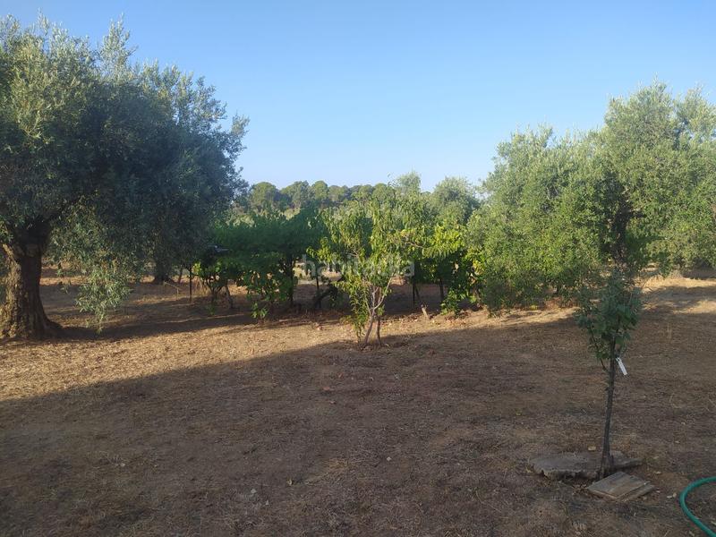 Foto 26cf9aac-a273-4a41-a162-7b6f6d5ce2e8. Propriété dans Villaviciosa de Córdoba