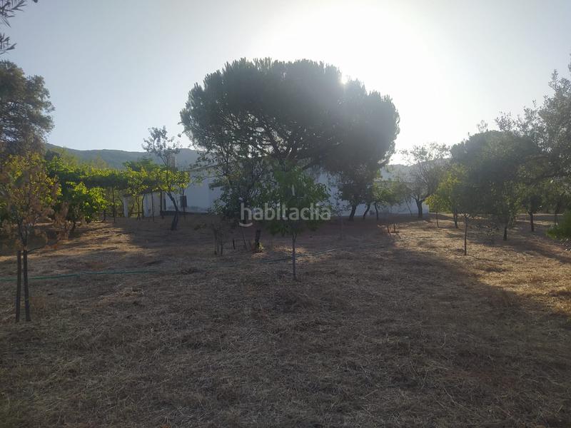 Foto 3360df12-b3f4-4a8d-9591-ed0f4bd3621d. Propriété dans Villaviciosa de Córdoba