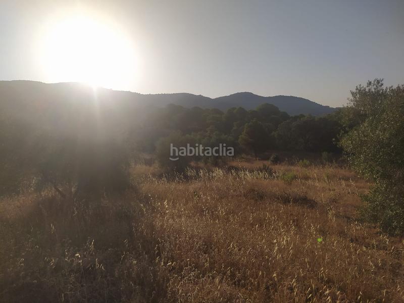 Foto 408e2c9b-a4fb-4af1-888a-ad82908d2284. Propriété dans Villaviciosa de Córdoba