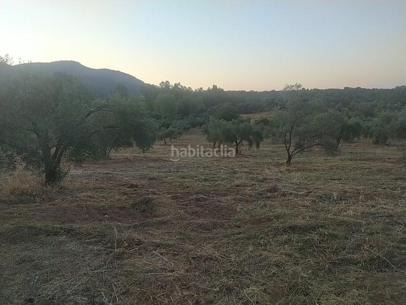 Foto 689da9e7-7d76-4583-9e50-fa846264ba36. Propriété dans Villaviciosa de Córdoba