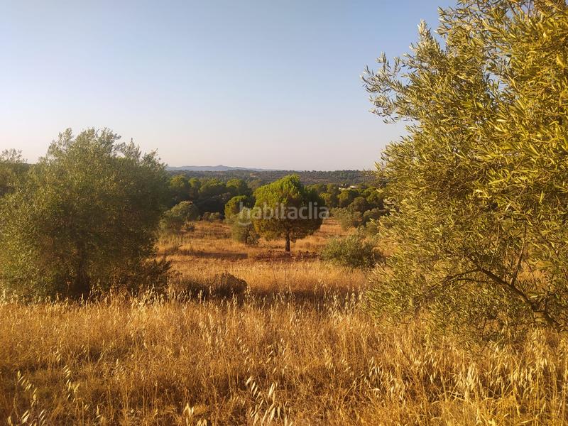 Foto 756f8729-1552-4567-977e-368e32551181. Propriété dans Villaviciosa de Córdoba