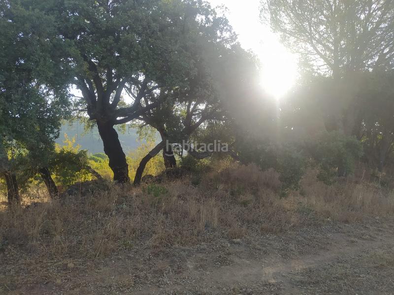 Foto 94dd6a30-1a5f-41c3-b5cd-1da52bb69181. Propriété dans Villaviciosa de Córdoba