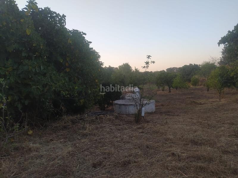 Foto bf51cce8-d033-47d3-9f80-c057965a9079. Propriété dans Villaviciosa de Córdoba