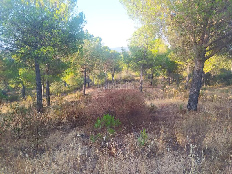 Foto d5a6f2ab-3acb-4f5a-a0c8-0ff879816831. Propriété dans Villaviciosa de Córdoba