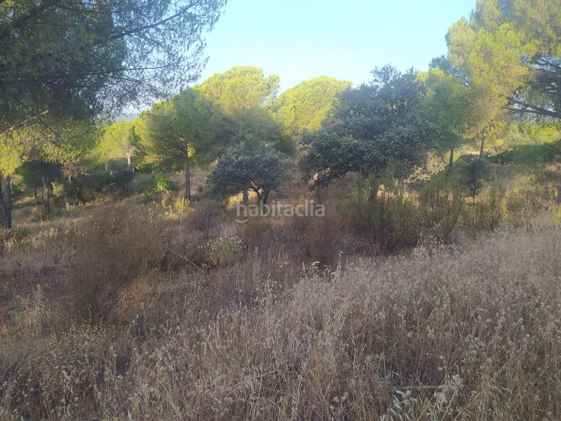 Foto deb51b68-e8a3-4ed1-8a11-c888dd88e918. Propriété dans Villaviciosa de Córdoba