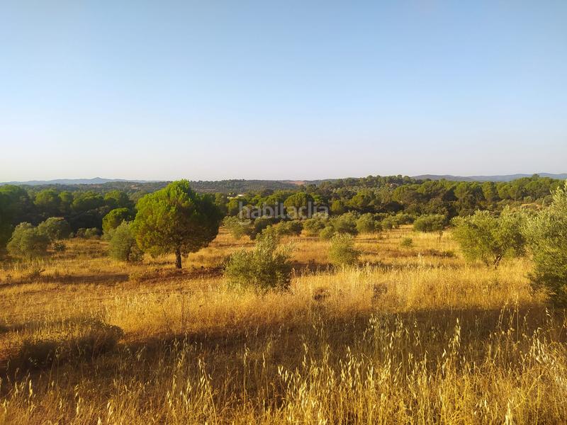Foto f1bde126-0590-45c5-ba39-450ce9361bc2. Propriété dans Villaviciosa de Córdoba